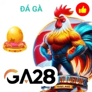 i8bet Game 04